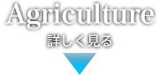 農業関連事業を詳しく見る