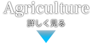 農業関連事業を詳しく見る